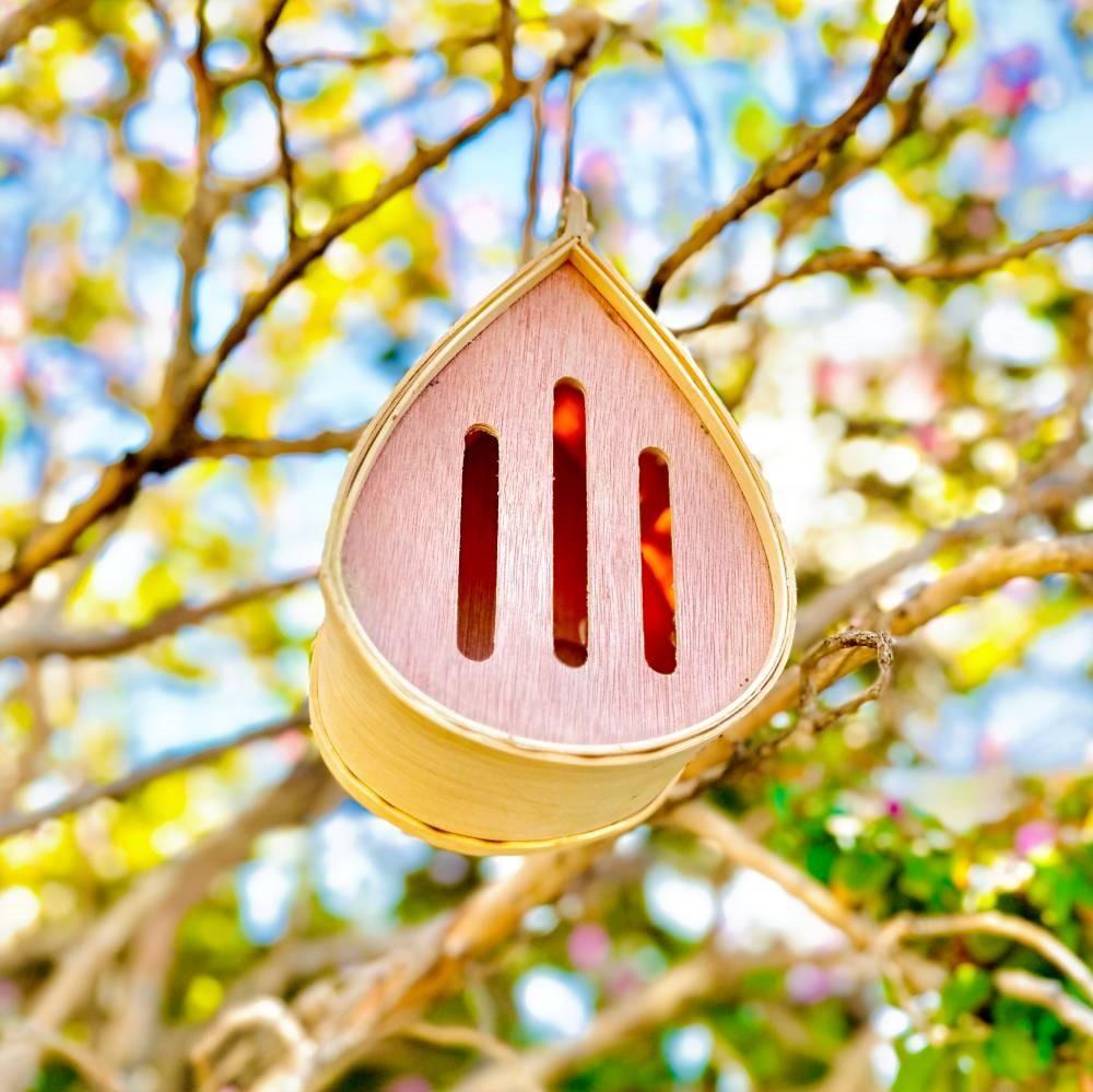 Pollinating Palace - Handcrafted Eco-Friendly Wooden Hanging Butterfly House, Natural Habitat to Attract Butterflies to Your Garden and Yard