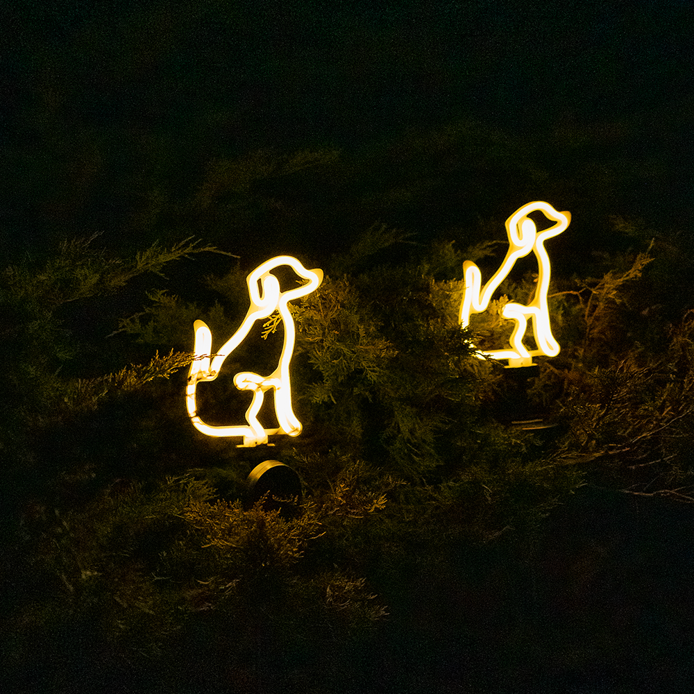 NEON DOG