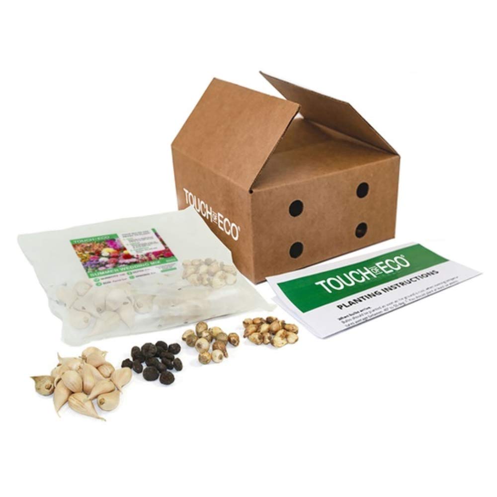 Spring & Summer Garden Party Flowers - 100 Bulb Collection - 4 Varieties of Beautiful Sun Loving Flowers with Amazing Blooms - Attracts Butterflies, Bees & Hummingbirds