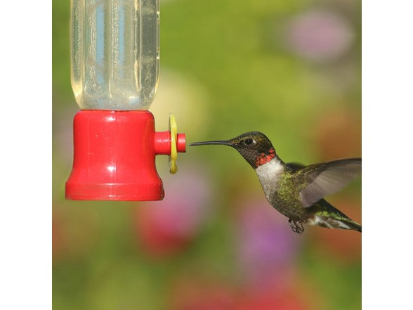Hummingbird Feeder | 4-Pack