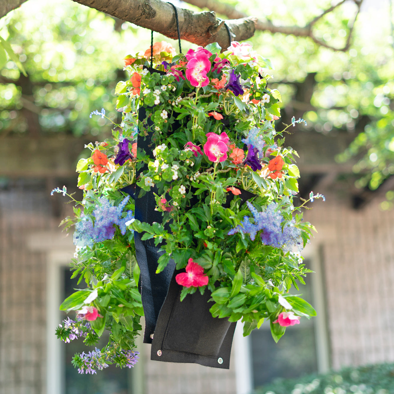 Hummingbird Hanging Flower Bag Kit – Vertical Seed Garden with Potting Soil