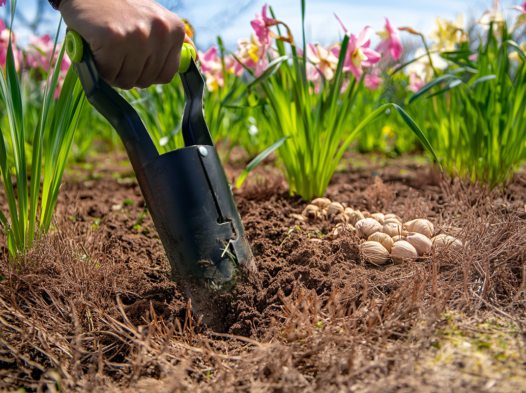 Flower Bulb Planter Tool