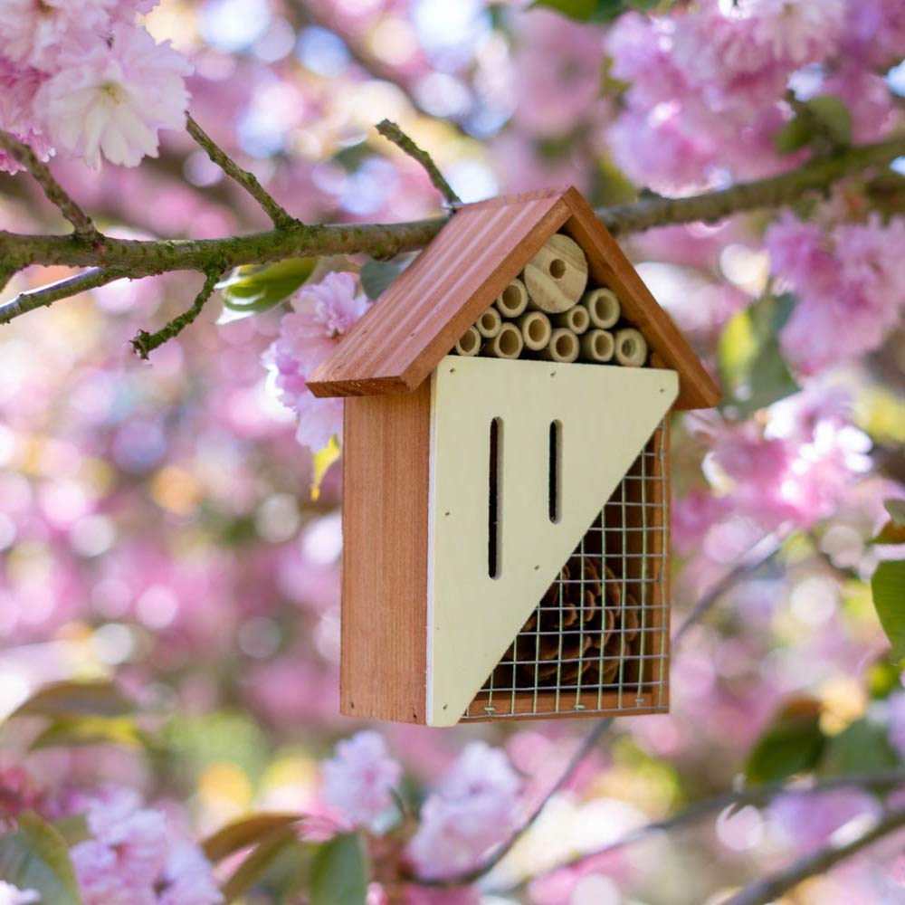 Bug Bungalow Bee, Bird, Ladybugs & Butterfly - Hanging Wooden Bird House,Outdoor Birdhouse for Hummingbirds, Bluebirds and Finch Cardinals, Songbirds, Birdhouse Nesting House for Wild Bird Watching