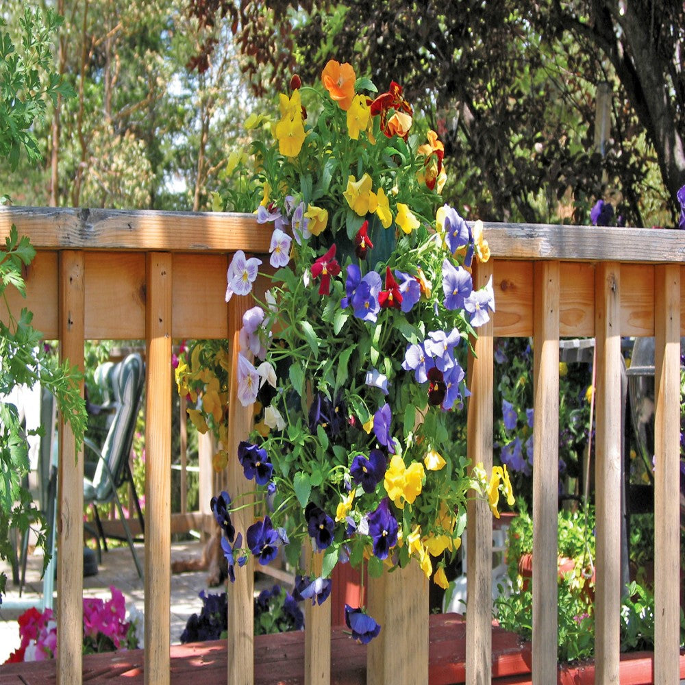 Hummingbird Hanging Flower Bag Kit – Vertical Seed Garden with Potting Soil