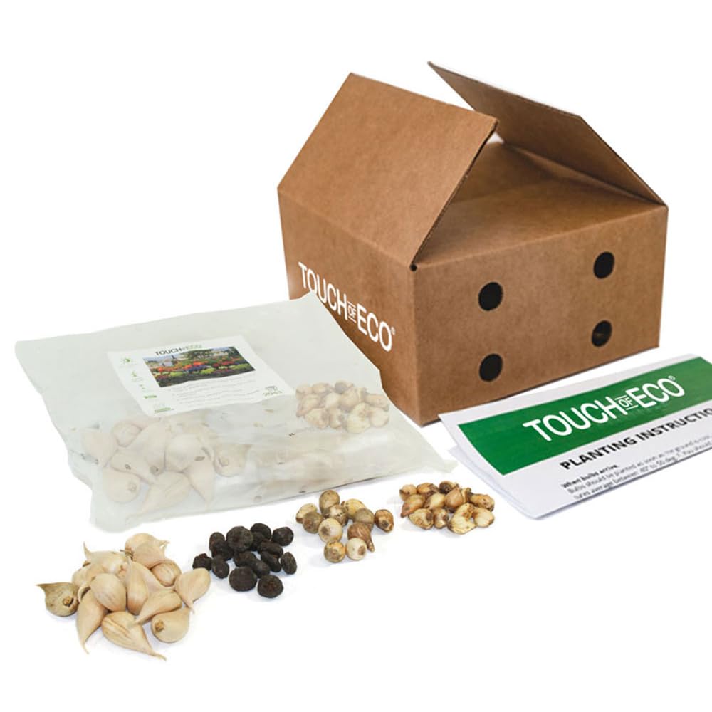 100 Bulbs Complete Spring & Summer Colorful Blooming Flower Garden - Attracting Bees, Butterflies, Hummingbirds & Pollinators with Beautiful Flowers