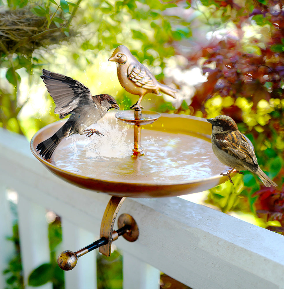 Bird Bath and Butterfly Oasis – Pollinator Fountain with Stake & Railing Mount – Great Gift for Bird Watchers & Gardeners