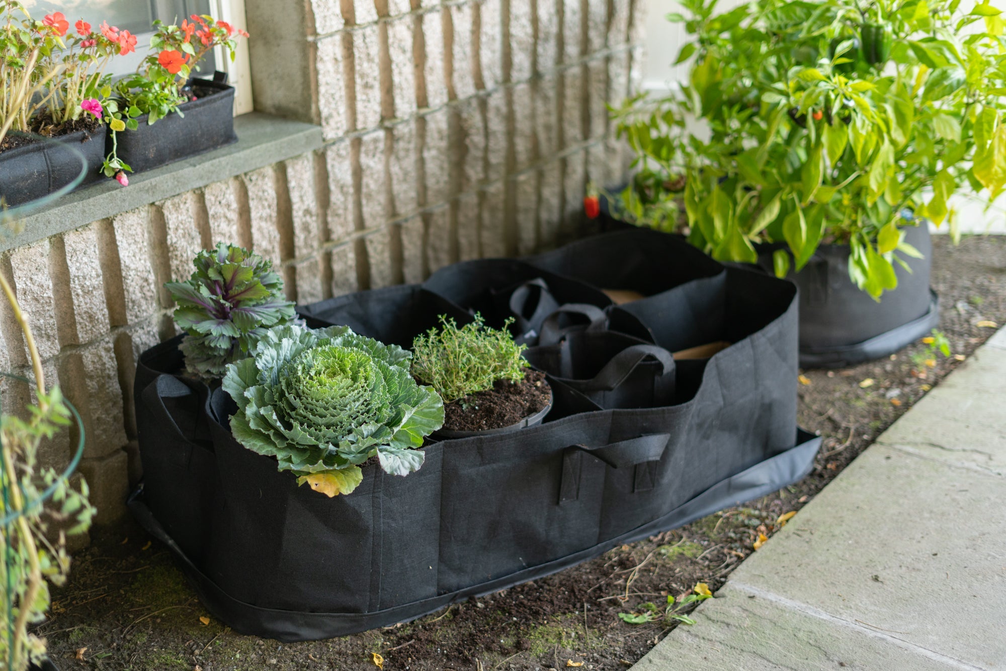 Eco-Friendly Garden Bed Grow Bag Planters 60 Gallon for Easy Gardening Around The House and Apartment. Heavy Duty Fabric - 1000's Sold