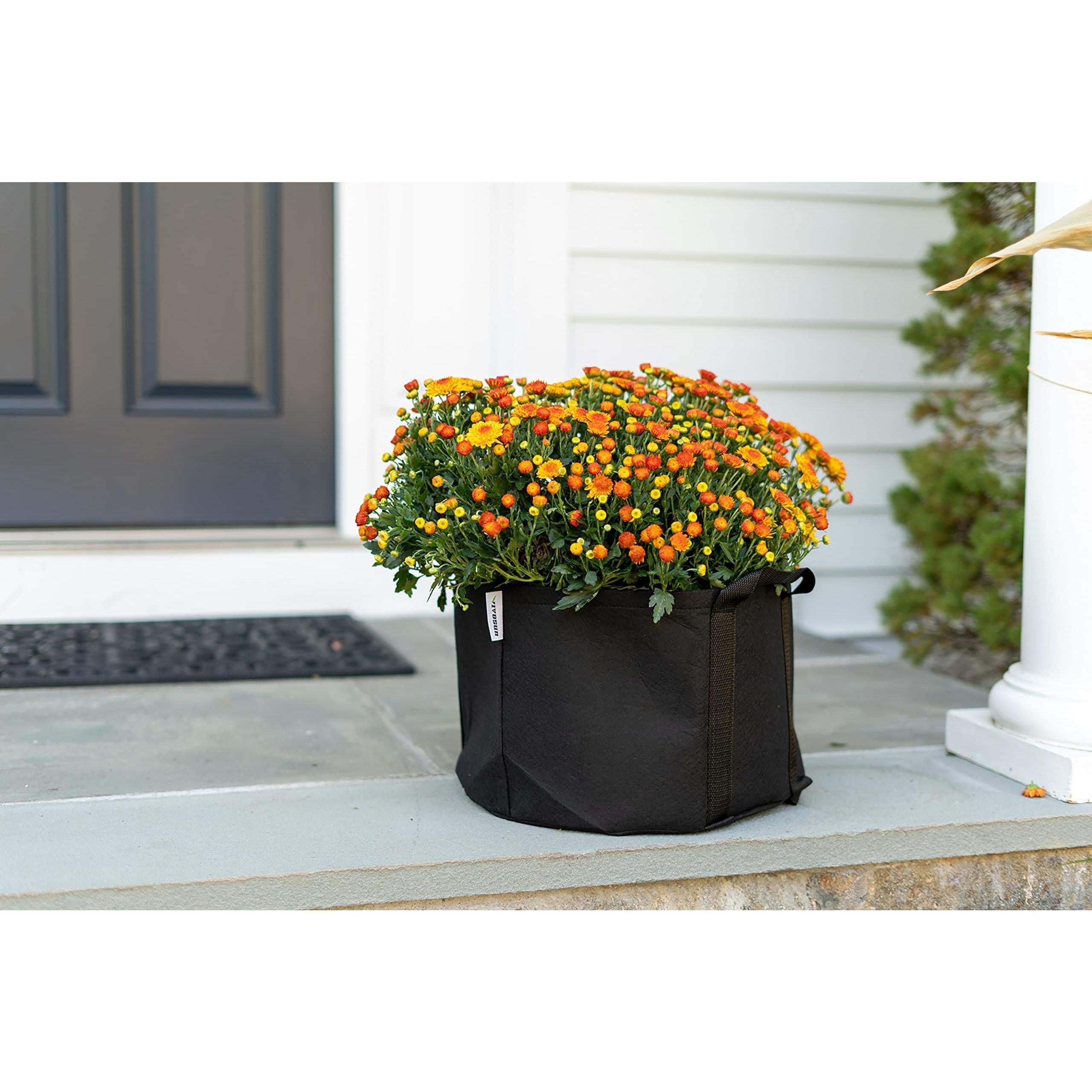 8 Gallon Fabric Grow Bag Eco Friendly Raised Bed Planter with Handles and Seed Kit