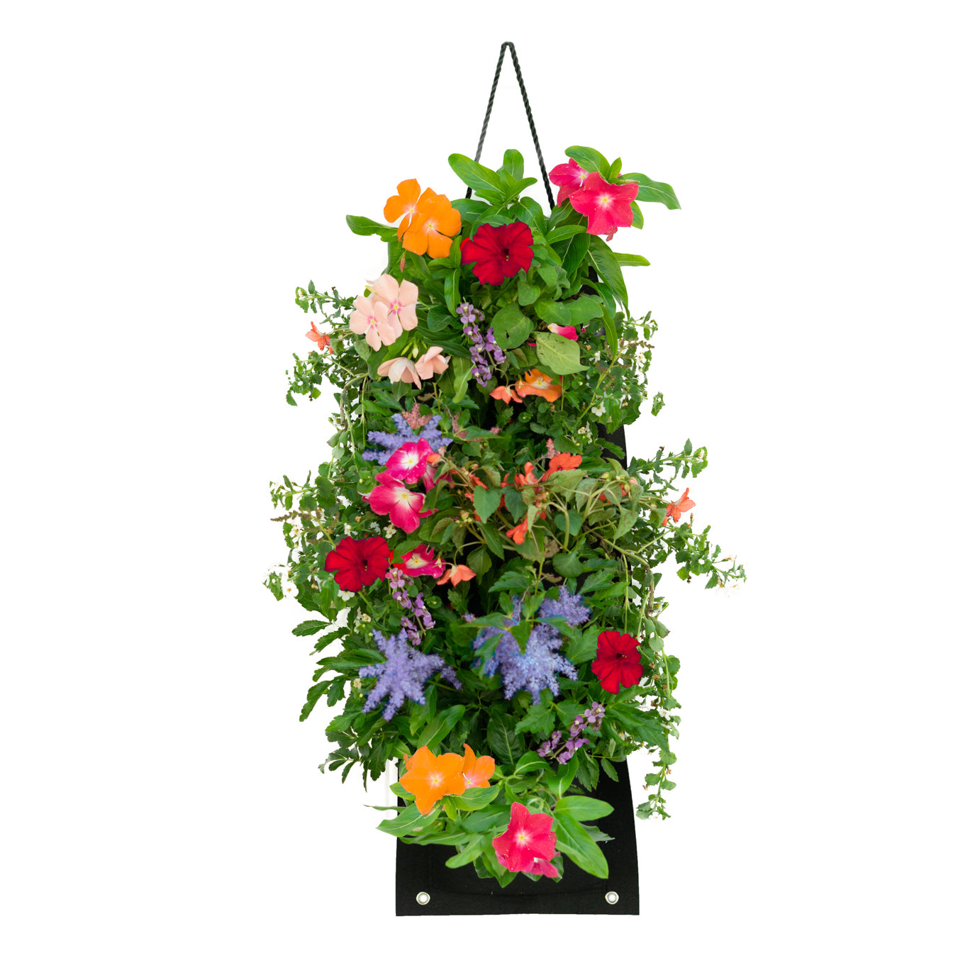 Hummingbird Hanging Flower Bag Kit – Vertical Seed Garden with Potting Soil
