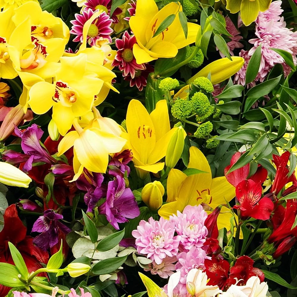 Spring & Summer Garden Party Flowers - 100 Bulb Collection - 4 Varieties of Beautiful Sun Loving Flowers with Amazing Blooms - Attracts Butterflies, Bees & Hummingbirds