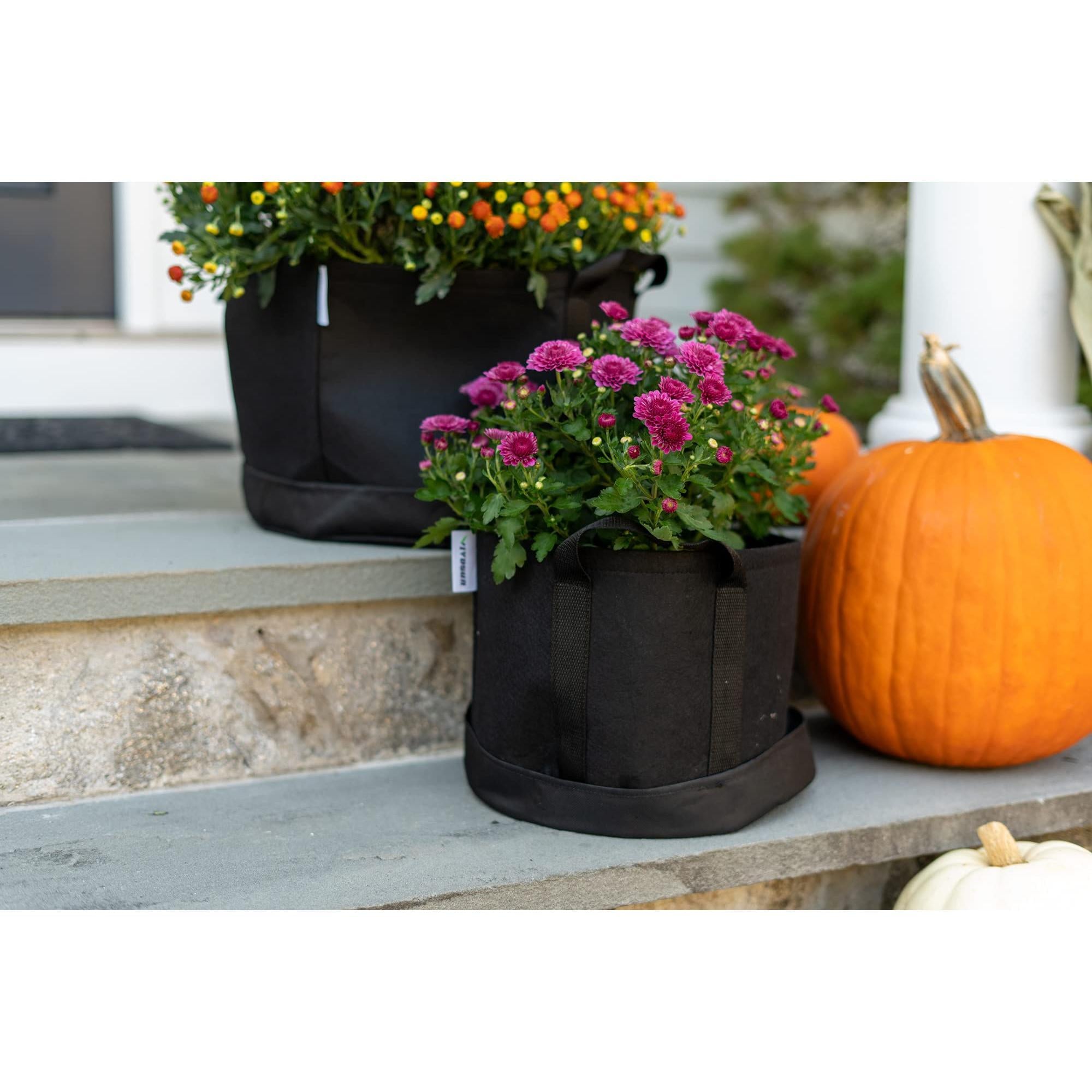 8 Gallon Fabric Grow Bag Eco Friendly Raised Bed Planter with Handles and Seed Kit