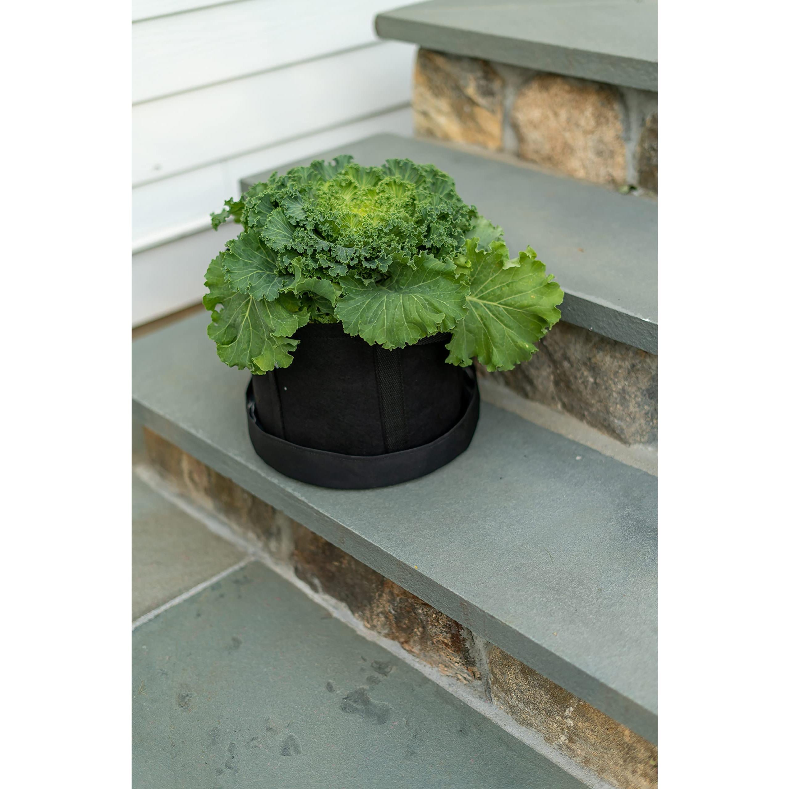 8 Gallon Fabric Grow Bag Eco Friendly Raised Bed Planter with Handles and Seed Kit