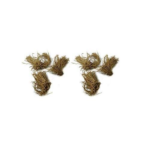 9-Pack Hosta Bare Root Perennial Plants - Fresh from Our Farm Ship Fast Directly to you. Perfect for any home & garden grows year after year!