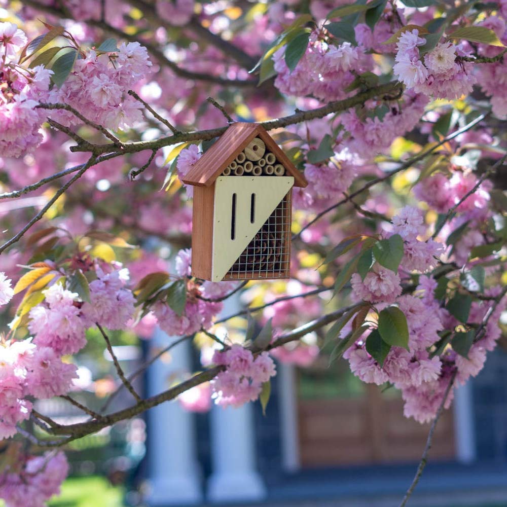 Bug Bungalow Bee, Bird, Ladybugs & Butterfly - Hanging Wooden Bird House,Outdoor Birdhouse for Hummingbirds, Bluebirds and Finch Cardinals, Songbirds, Birdhouse Nesting House for Wild Bird Watching