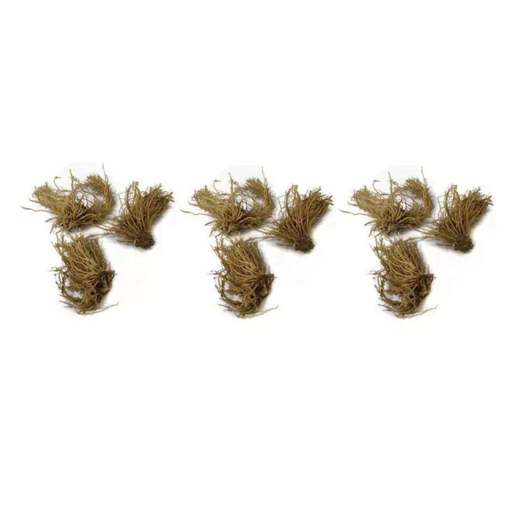 Hardy Mixed Heart-Shaped Hosta - 6, 12 or 24 Pack of Bare Roots - Rich Green Foliage, Low Maintenance, Heart Shaped Leaves Great Perennials