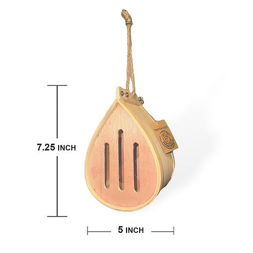 Pollinating Palace - Butterfly House