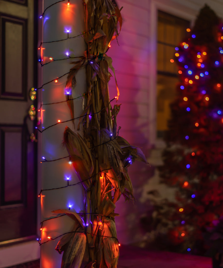 LITEUP 125 Orange & Purple Color