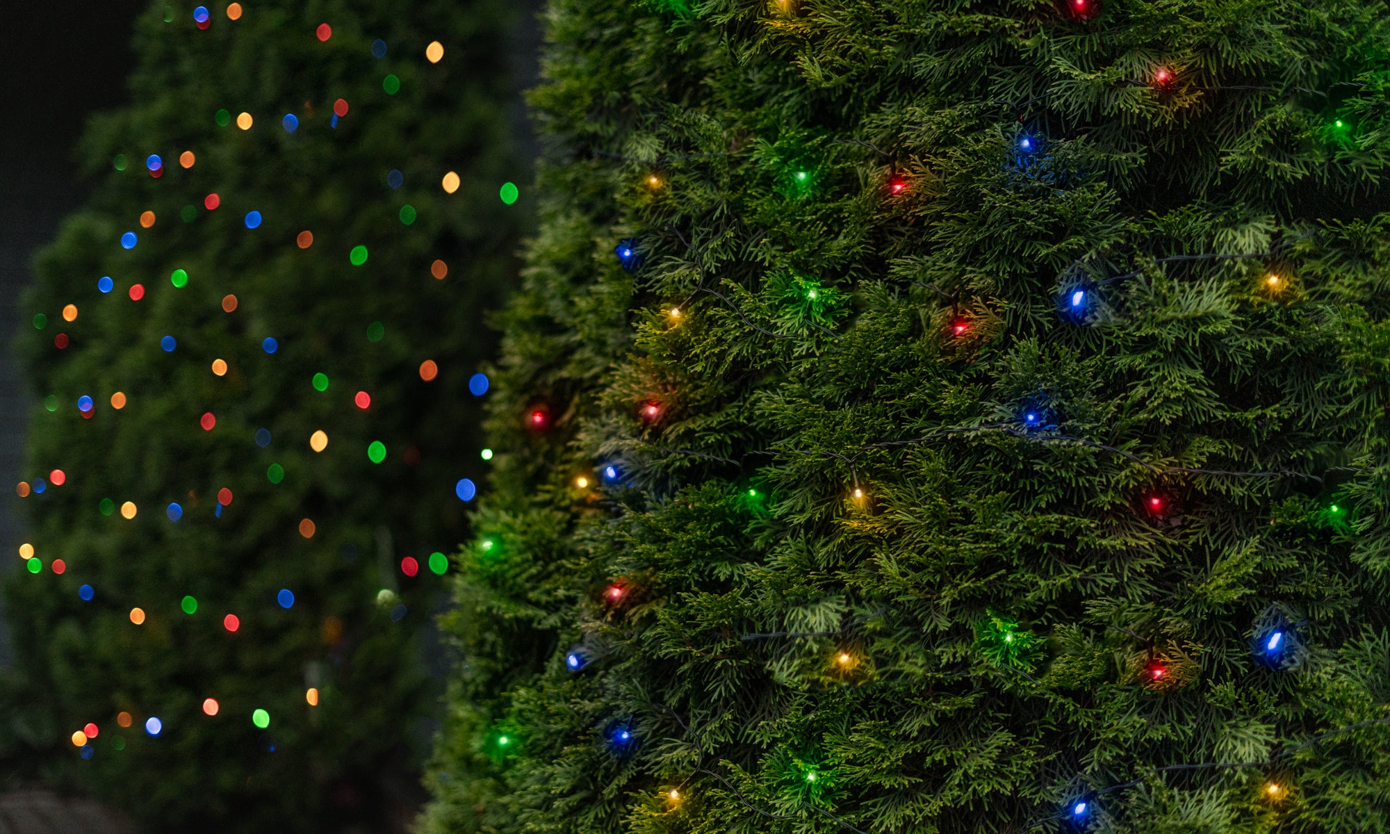 LITEUP 125 Multi Color