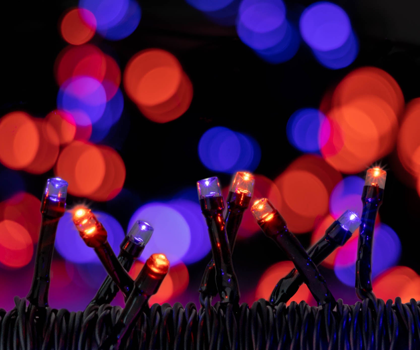 LITEUP 125 Orange & Purple Color