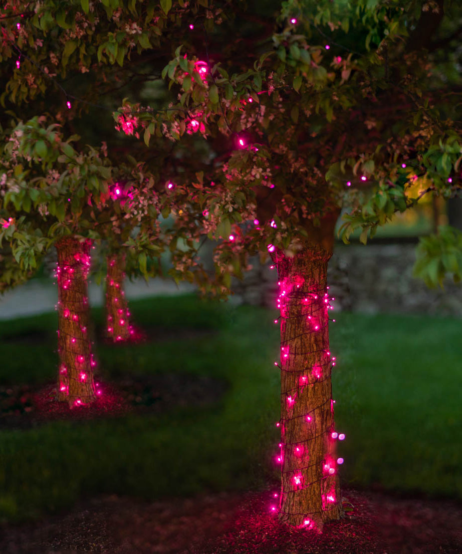 LITEUP 125 Pink Color