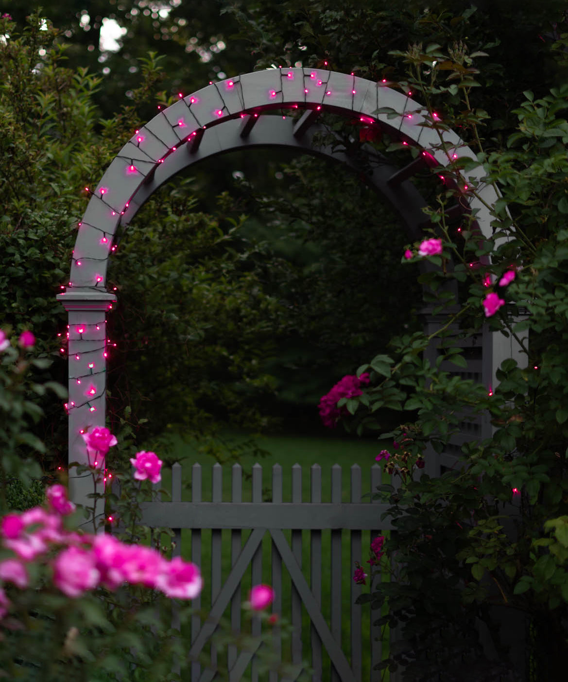 LITEUP 125 Pink Color