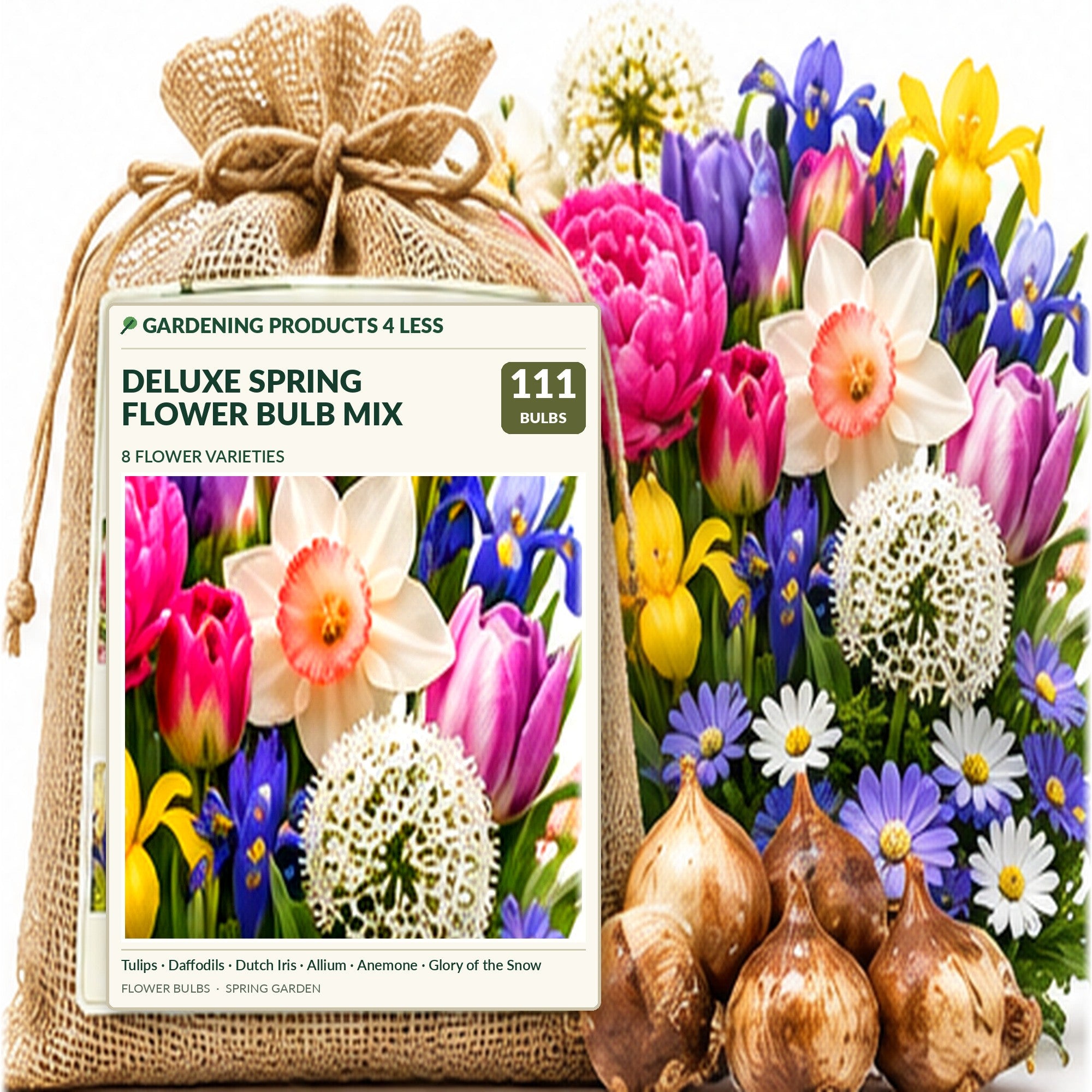 Spring Flower Bulbs Collection for Fall Planting – Tulips, Pink Daffodils, Allium, Anemone & Glory of the Snow – Perennial Bulb Mix