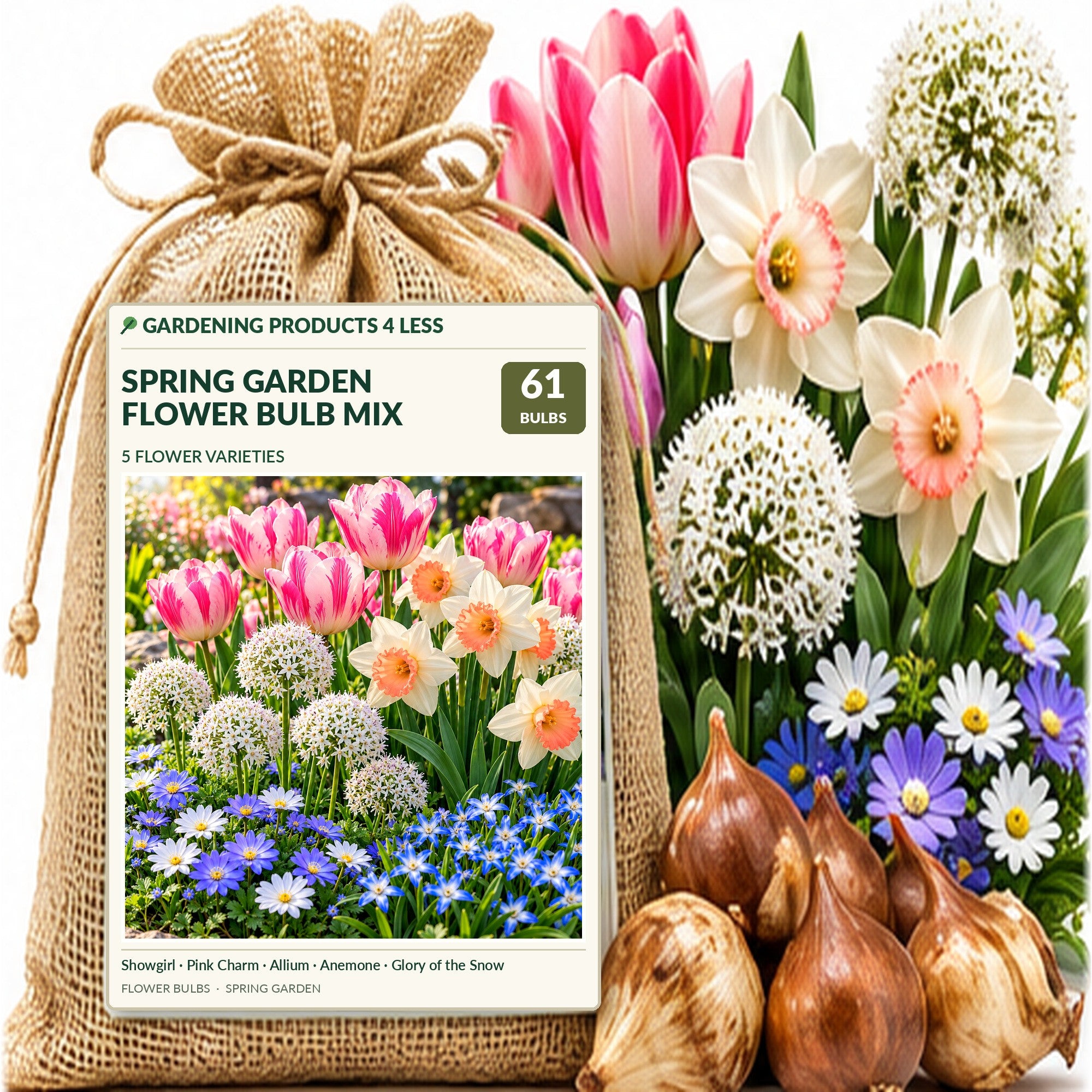 Spring Flower Bulbs Collection for Fall Planting – Tulips, Pink Daffodils, Allium, Anemone & Glory of the Snow – Perennial Bulb Mix
