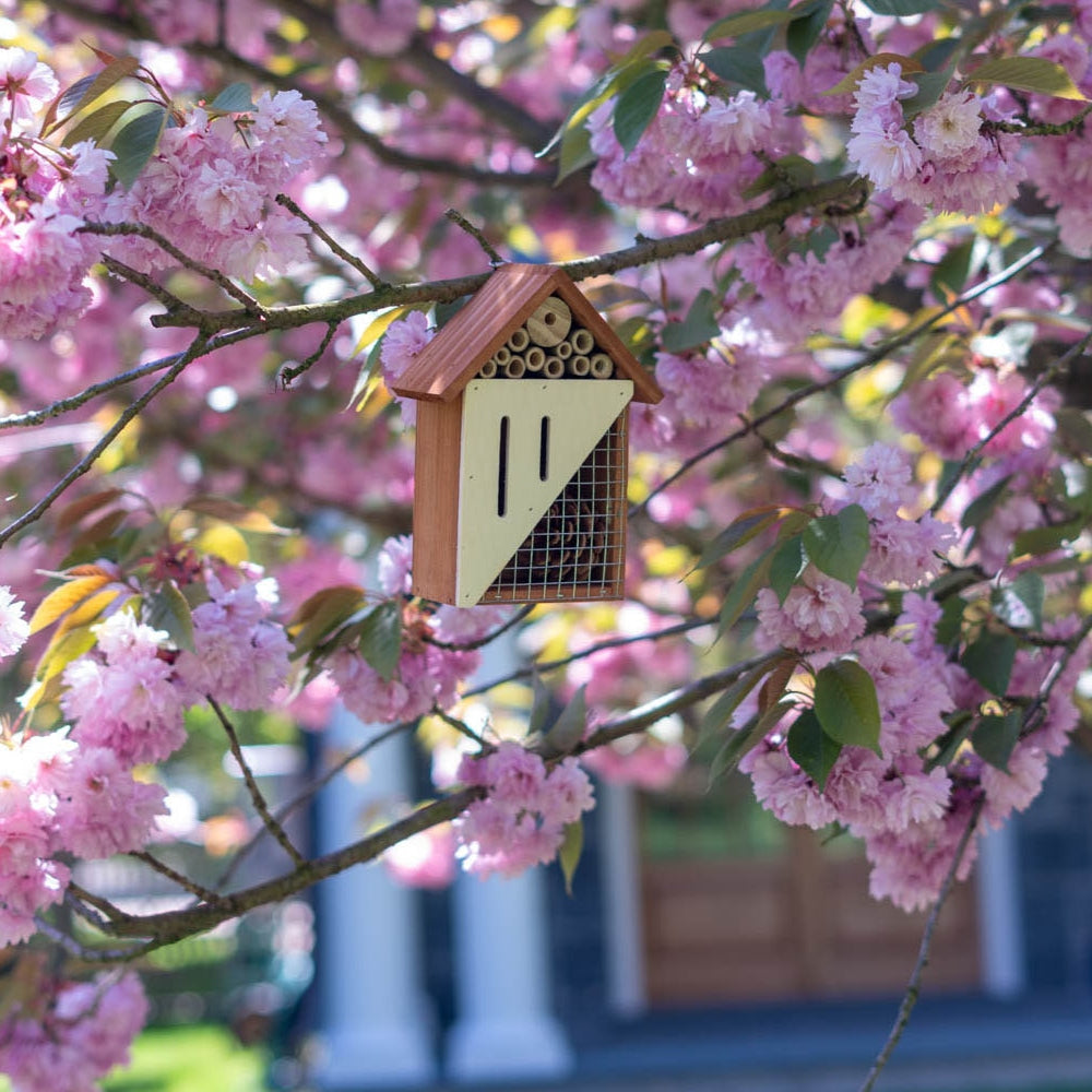 POLLINATING PALACE™ - WOODEN INSECT HOTEL