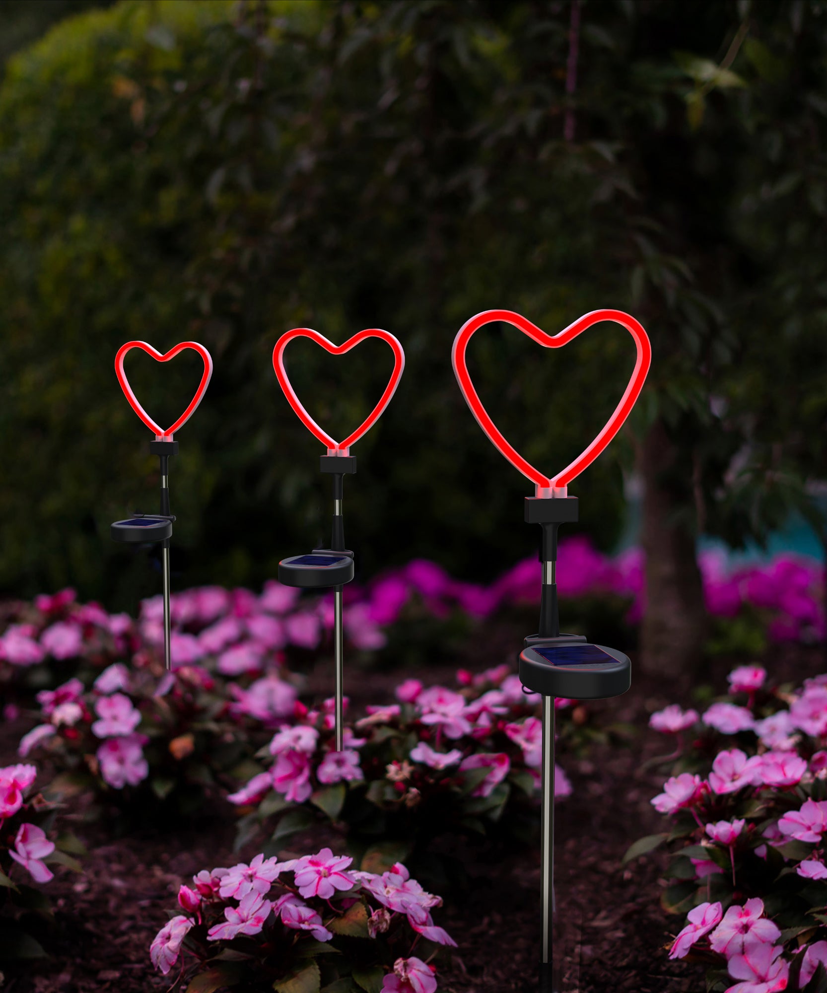 NEON  HEART