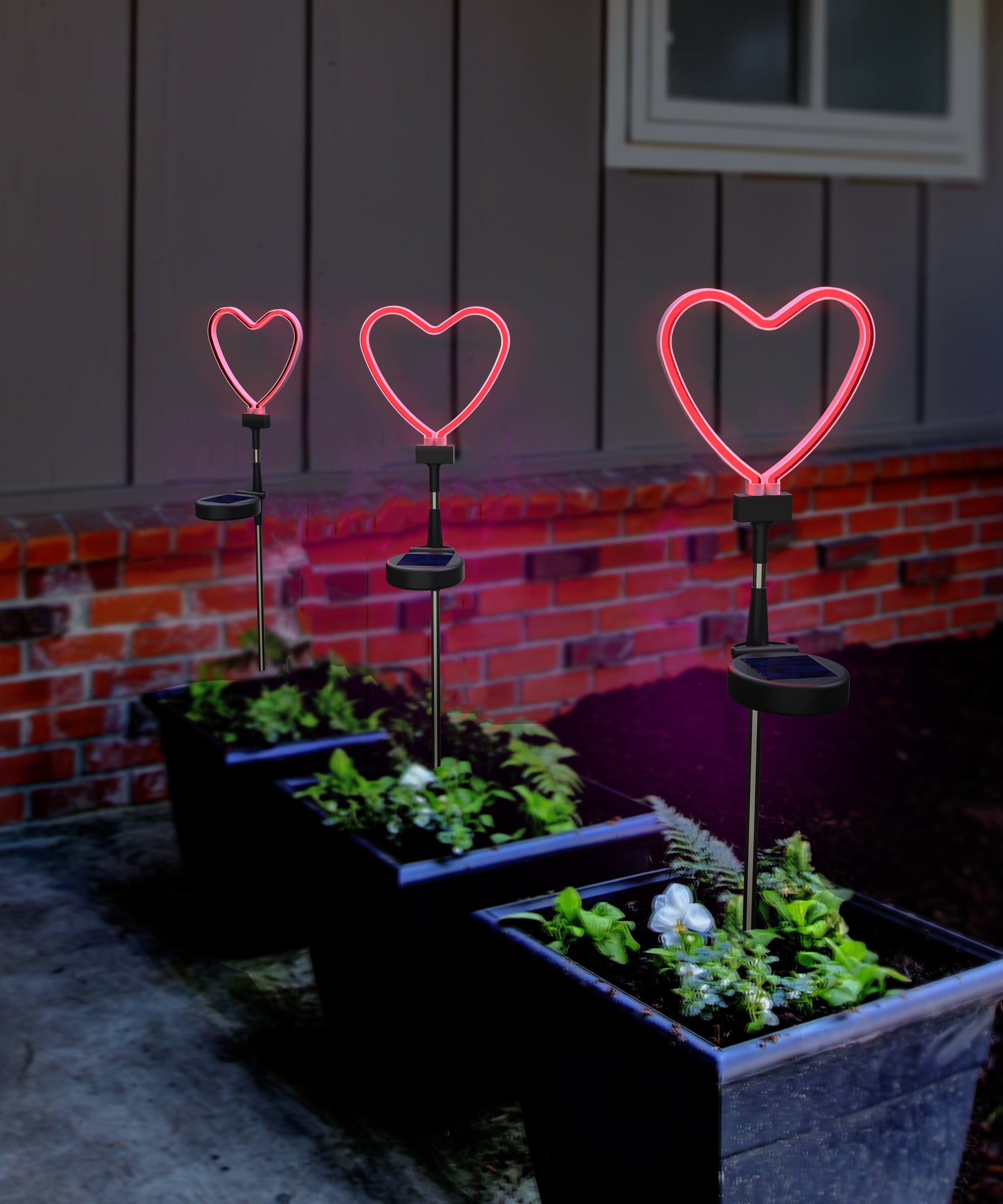 NEON  HEART