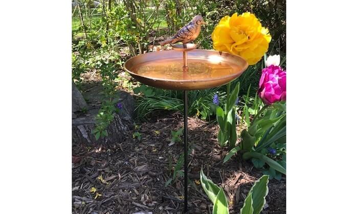 Bird Bath and Butterfly Oasis – Pollinator Fountain with Stake & Railing Mount – Great Gift for Bird Watchers & Gardeners