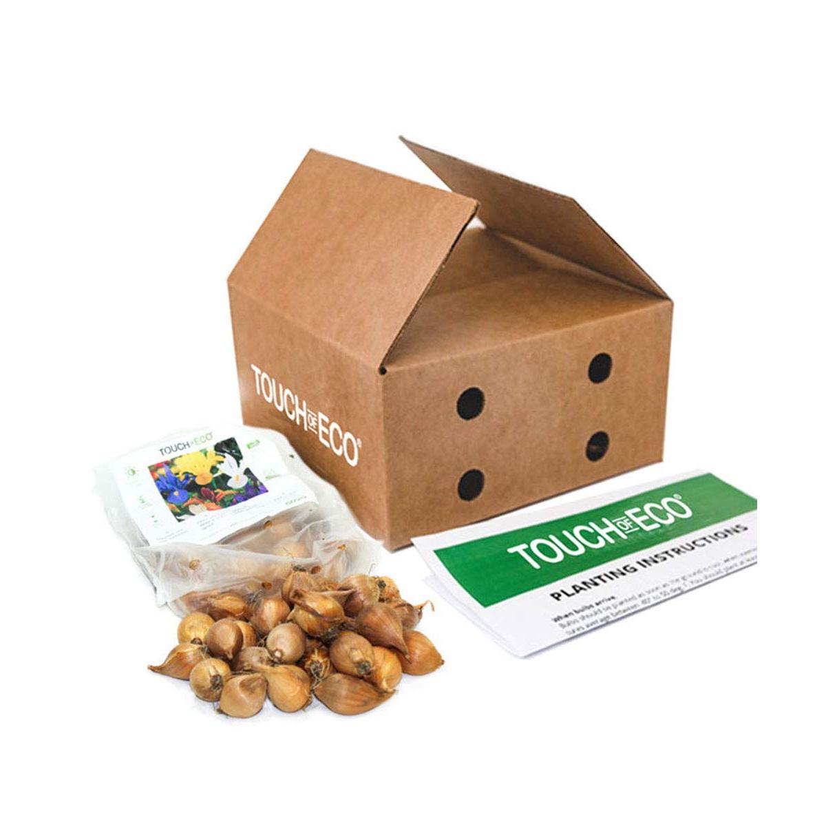 Colorful Mixed Dutch Iris Flowers - 30 Bulbs - Beautiful, Bright, Blue, Purple, Yellow, White Flowers - Spring Blooming Perennials Perfect for Gardens - Attracts Butterflies, Bees & Hummingbirds