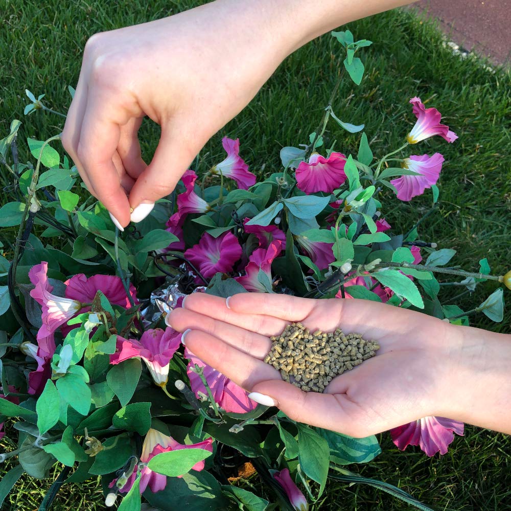 Organic & Natural All Purpose Plant Food - 100% Plant Based - Great for Indoor, Outdoor Flowers, Plants, Fruits and Vegetables