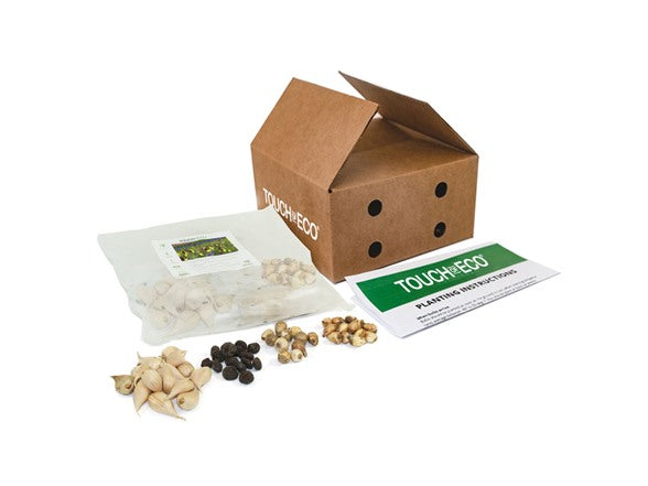 Garden Gems flower bulb collection