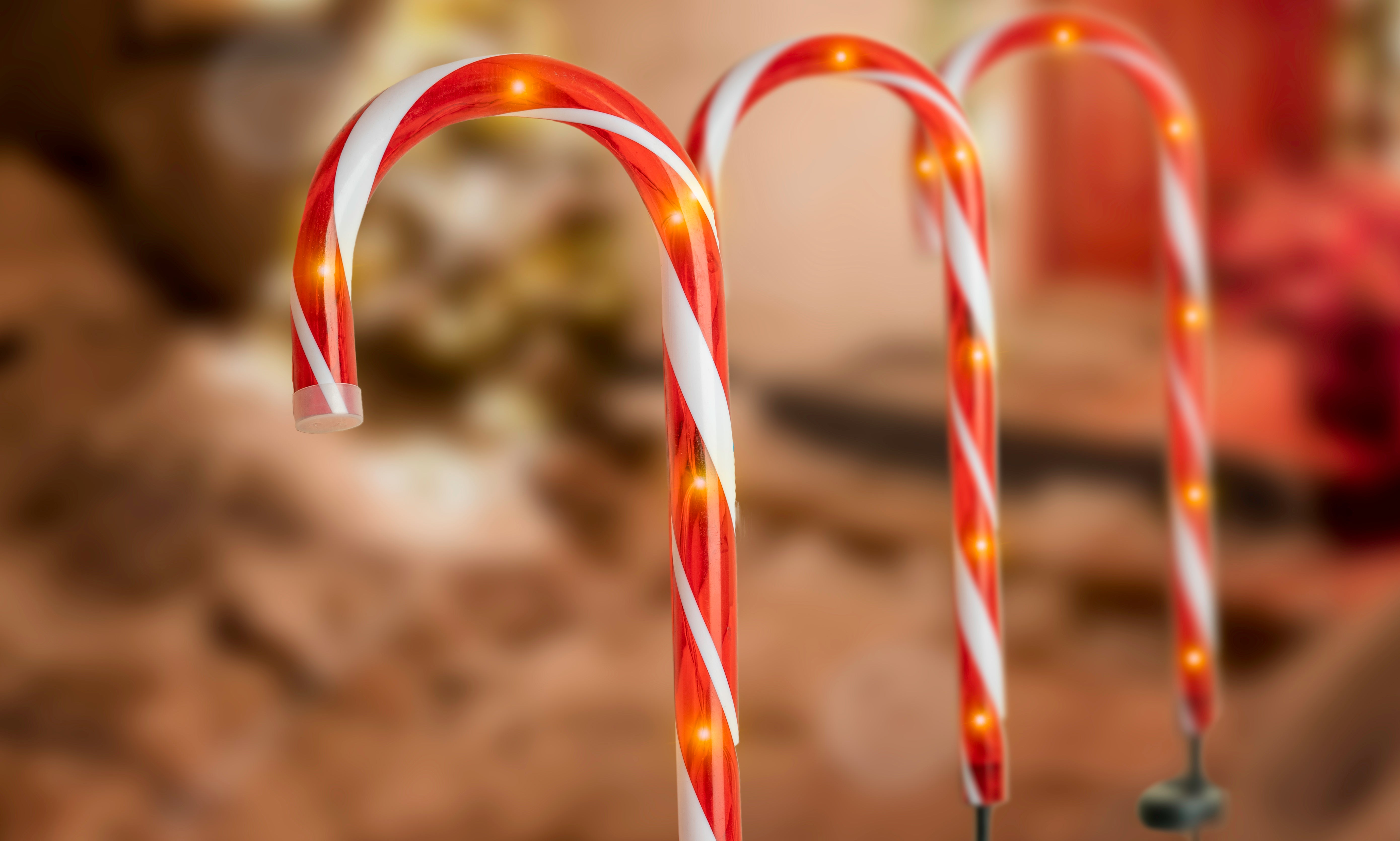 CANDY CANE