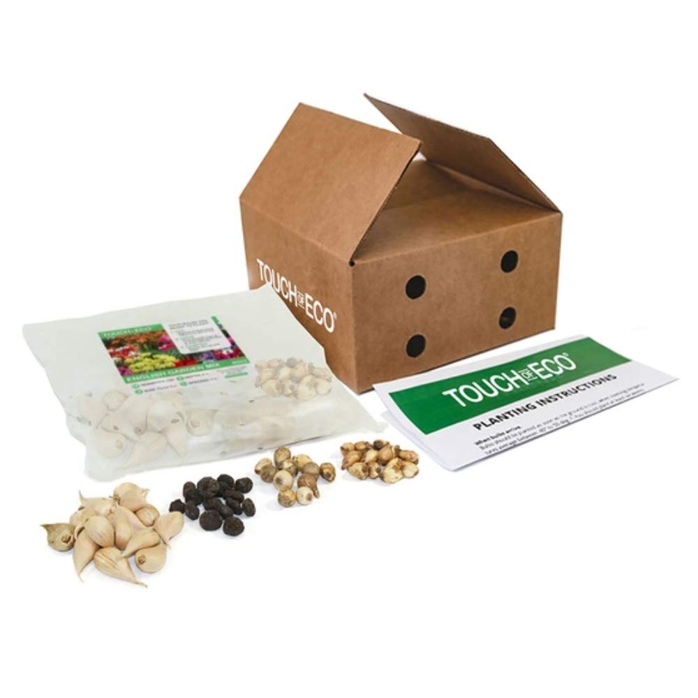 Birds & Bees English Flower Bulb Collection - Colorful Assortment of Flower Bulbs That Will Have Beautiful Blooms - 100 Flower Bulbs