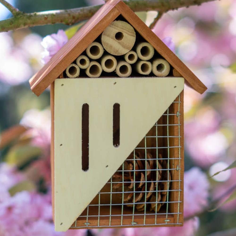 Bug Bungalow Bee, Bird, Ladybugs & Butterfly - Hanging Wooden Bird House,Outdoor Birdhouse for Hummingbirds, Bluebirds and Finch Cardinals, Songbirds, Birdhouse Nesting House for Wild Bird Watching
