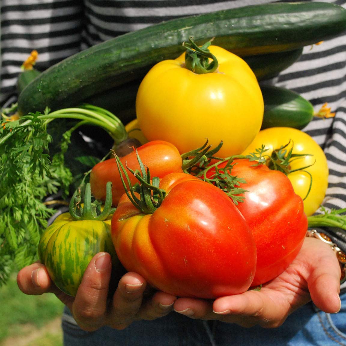 Backyard Farmers Market - Grow Fresh, Organic, GMO-Free Vegetables at Home - 8 Pack Seed Kit