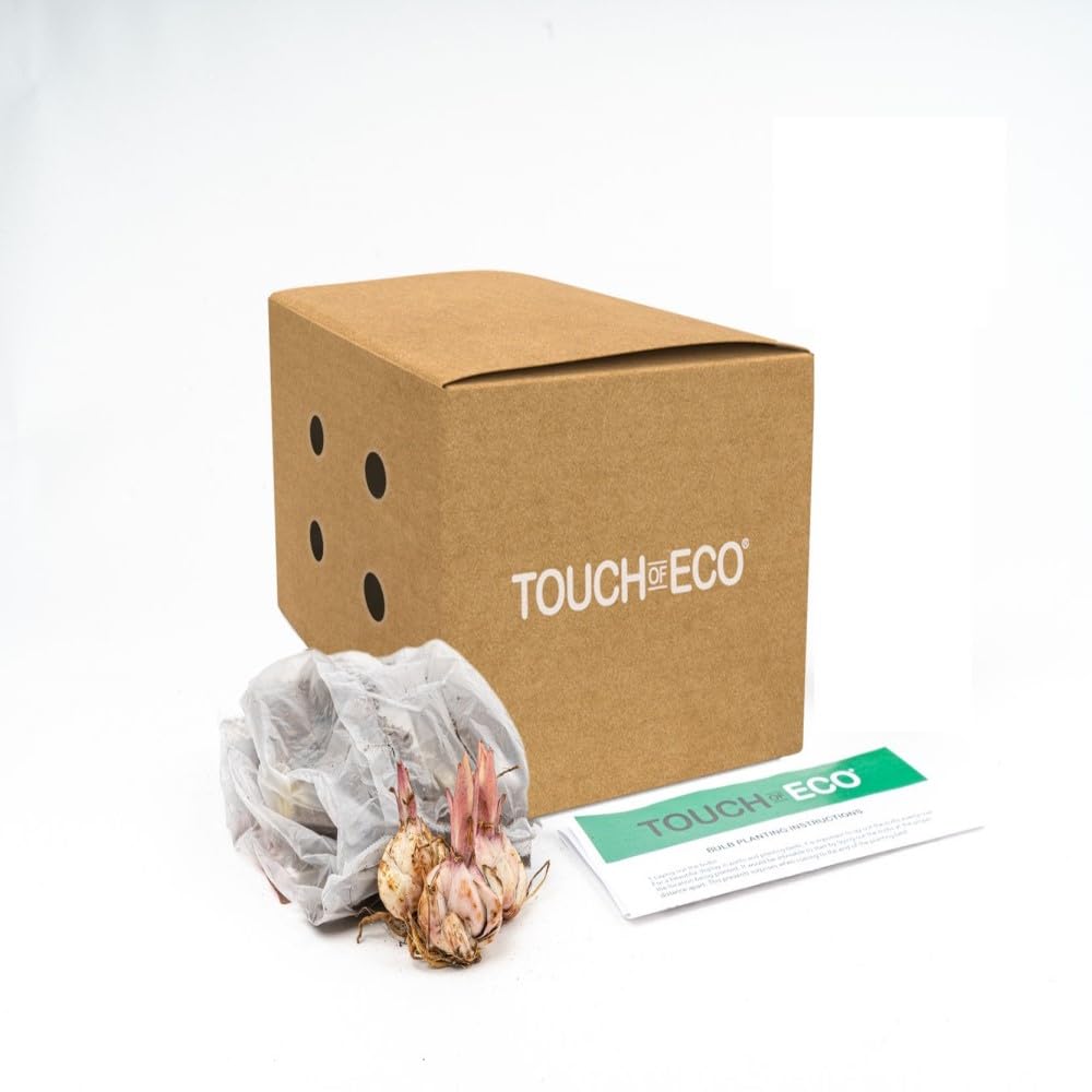 Lilium Oohs and Aahs Mixed Perennial Flower Bulbs - 10 Bulbs with Bright Red, Yellows, Magentas, Golds & Oranges - Winter Hardy, 30-42 Inches Tall, Bloom Mid Summer