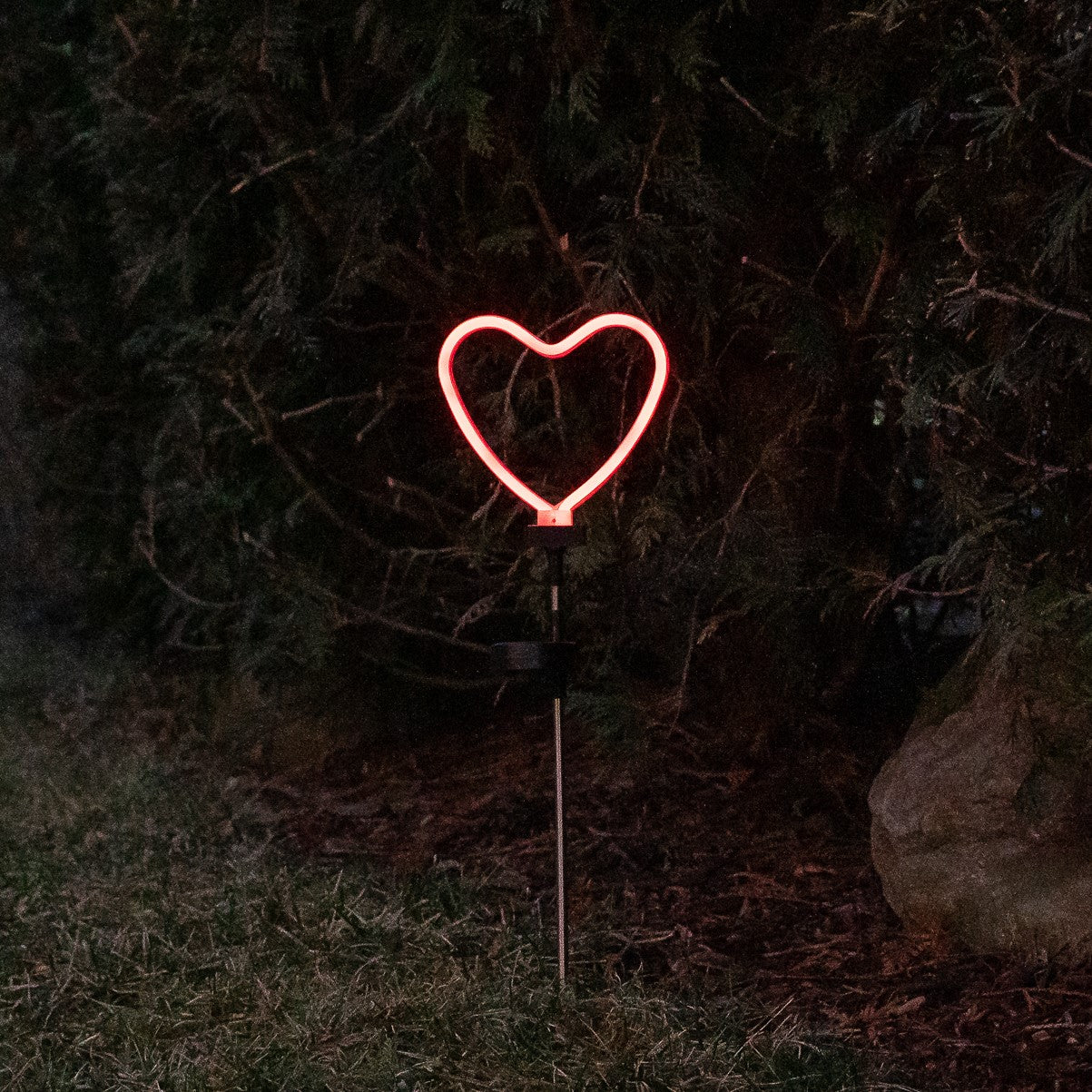 NEON  HEART
