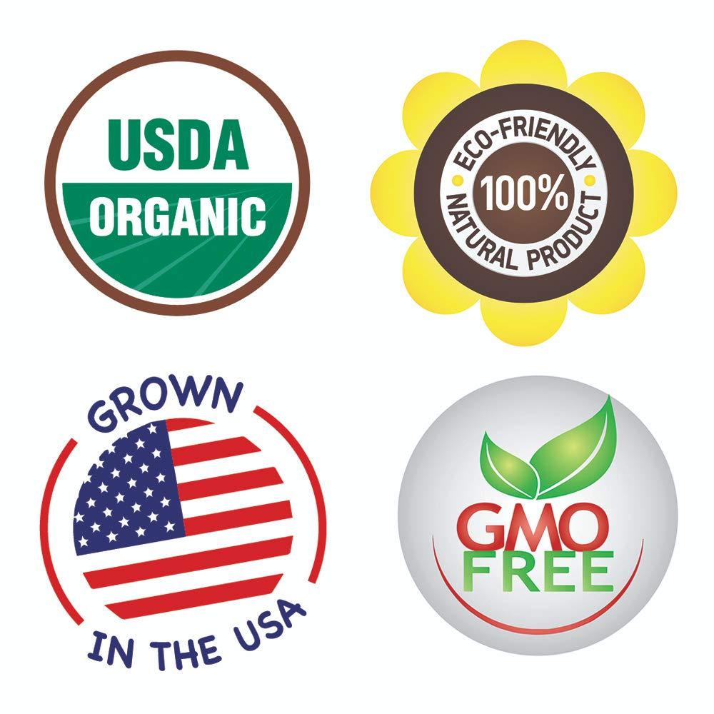 Backyard Farmers Market - Grow Fresh, Organic, GMO-Free Vegetables at Home - 8 Pack Seed Kit