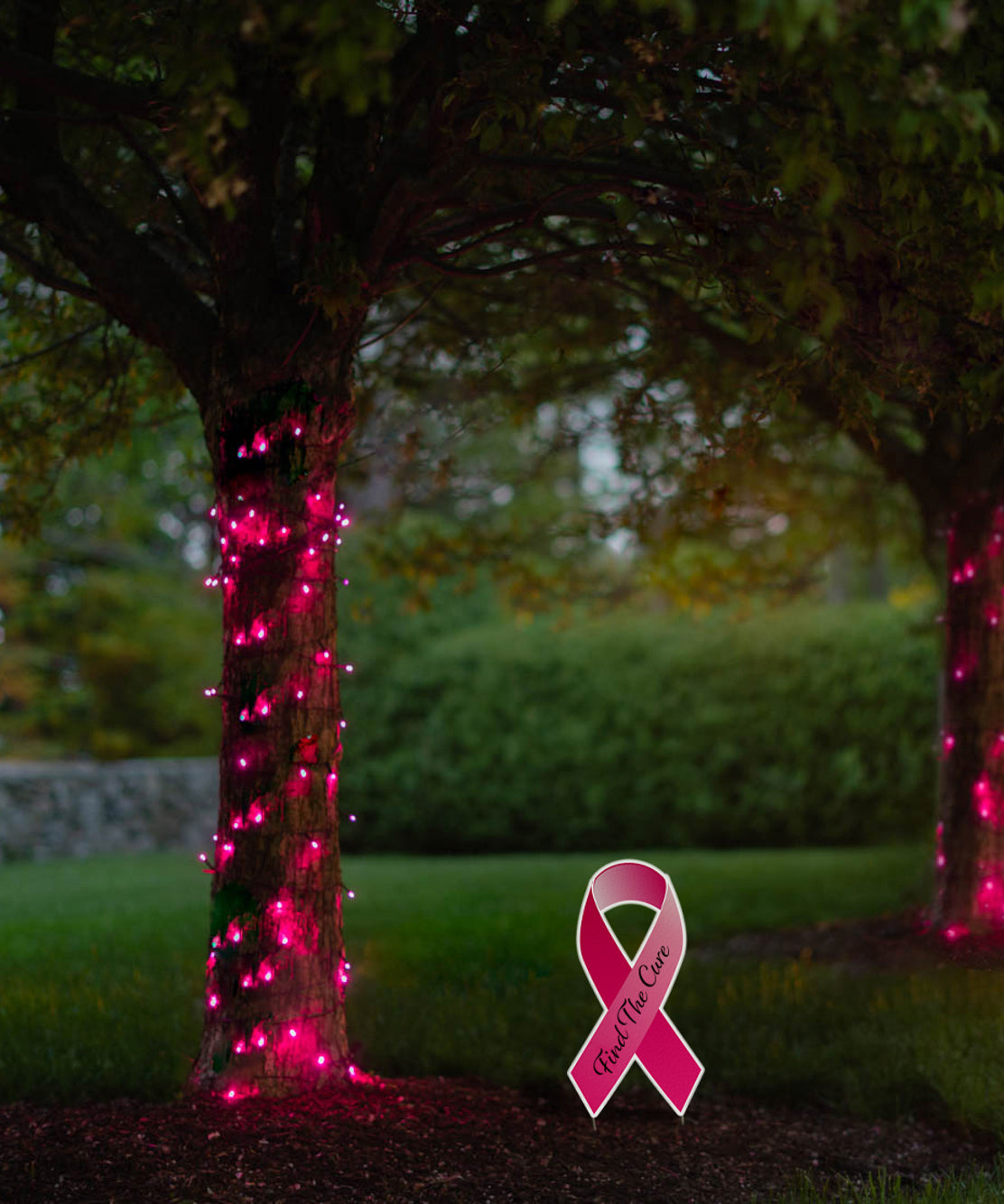 LITEUP 125 Pink Color