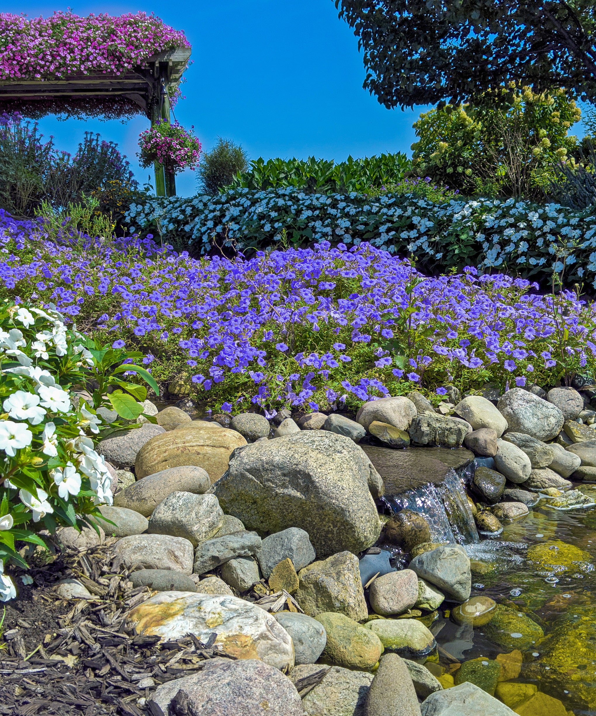 ROCK GARDEN FLOWER BULB COLLECTION - PACK OF 55