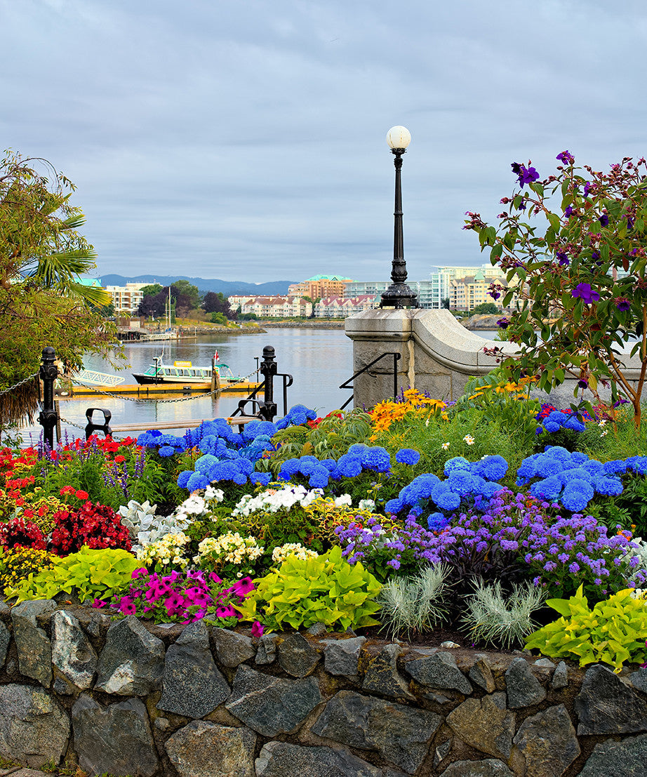 ROCK GARDEN FLOWER BULB COLLECTION - PACK OF 55