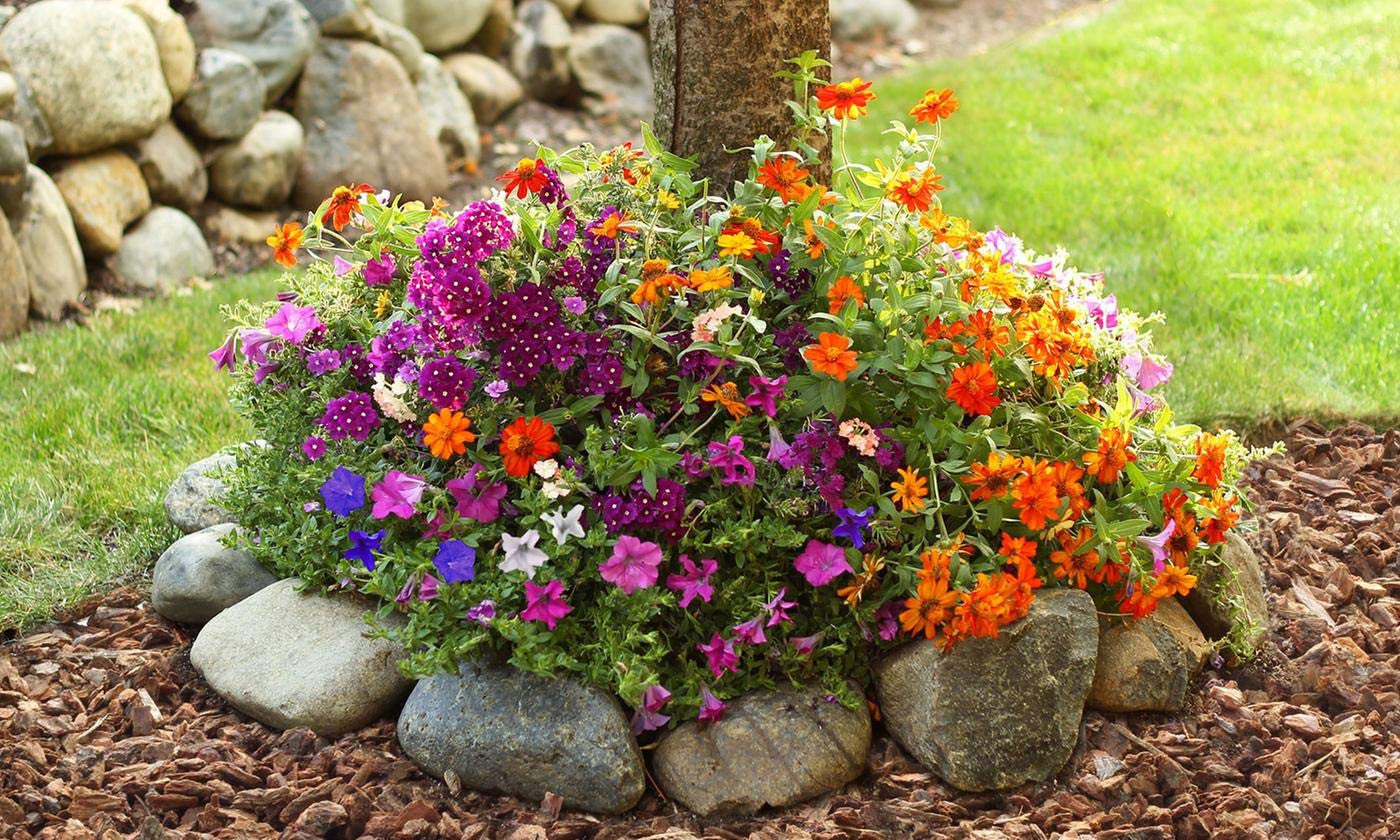 Sunny Annual Seed Mat.jpg